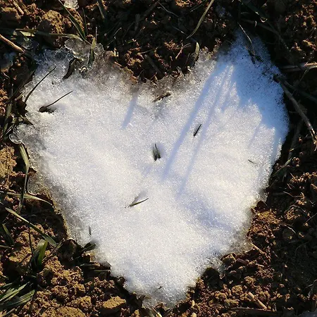 Vendégház Bed&more Pogányvár 3*